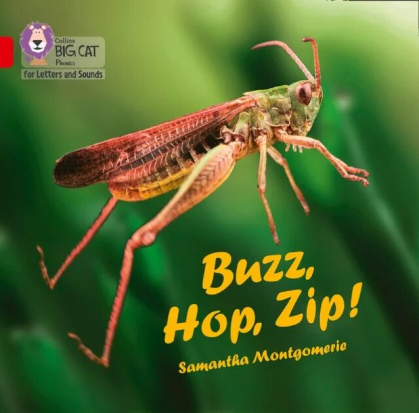 Buzz, Hop, Zip! Big Book av Samantha Montgomerie