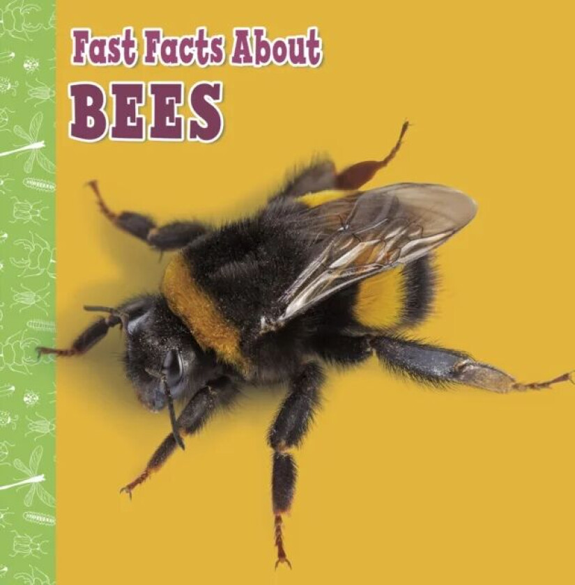 Fast Facts About Bees av Lisa J. Amstutz