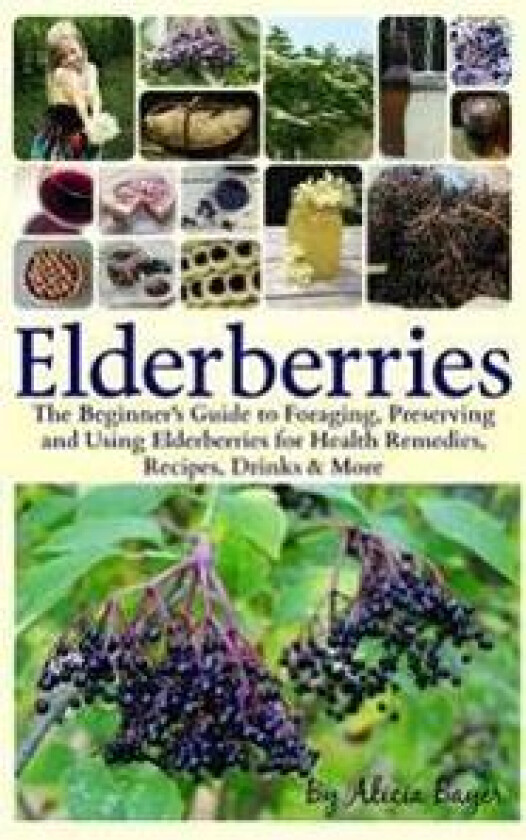 Elderberries: The Beginner's Guide to Foraging, Preserving and Using Elderberries for Health Remedies, Recipes, Drinks & More