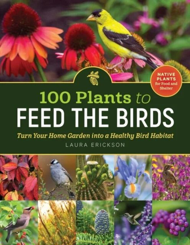 100 Plants to Feed the Birds av Laura Erickson