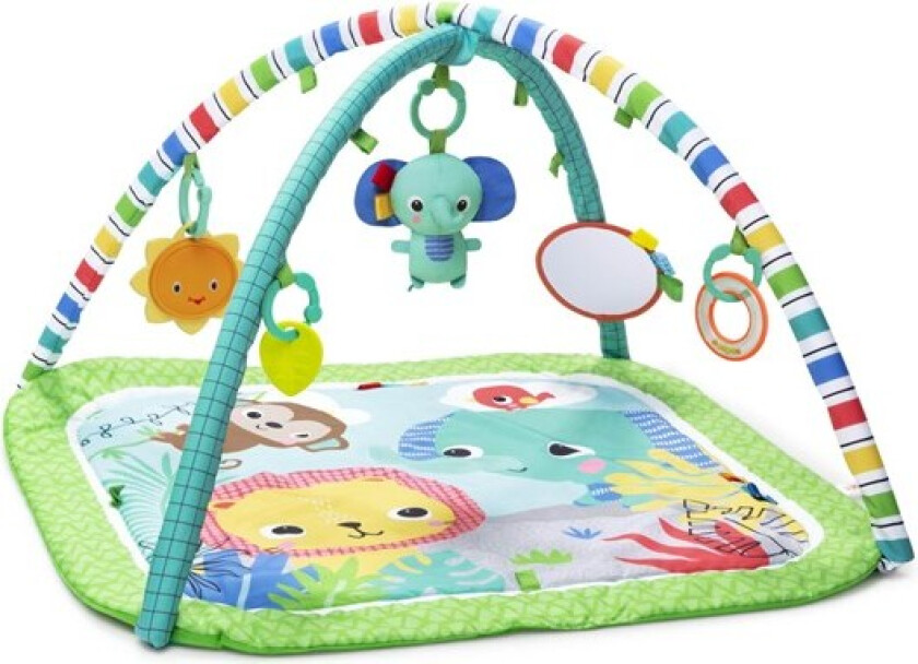 Bilde av Wild Wiggles™ FoldAway™ Activity Gym