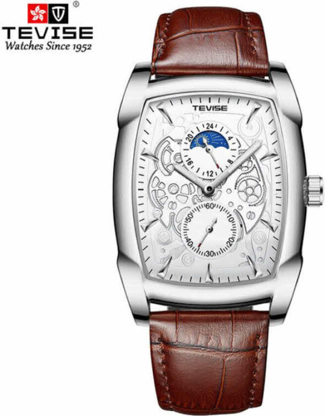 Mens Classic Quartz TVSa66190228 - Kvarts - Sølv - Herreklokker - Skinn - Mineral