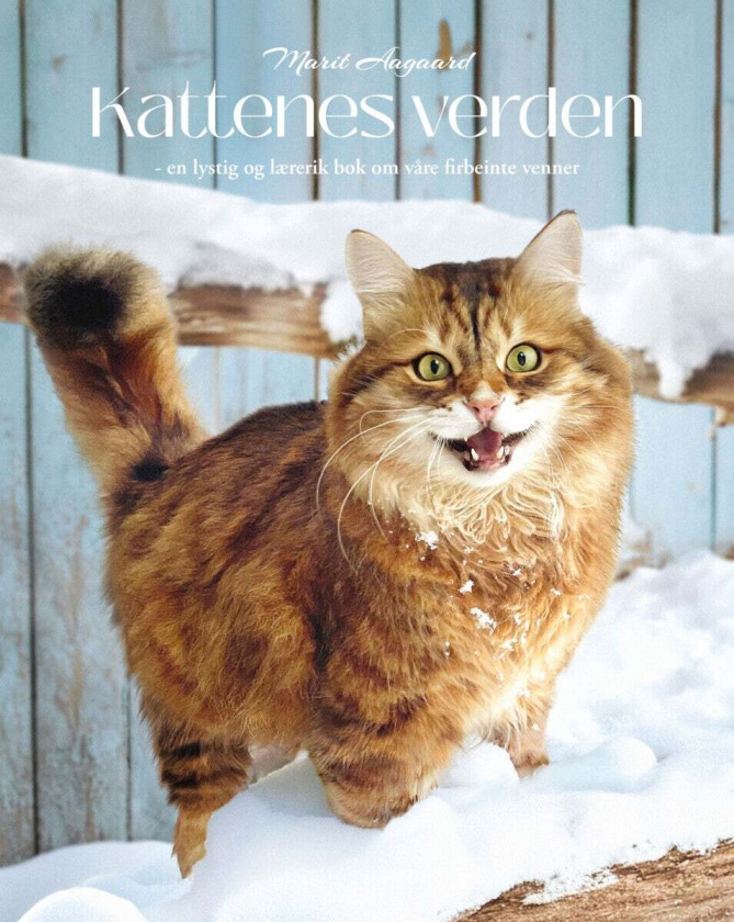 Kattenes verden - en lystig og lærerik bok om våre firbeinte venner av Marit Aagaard