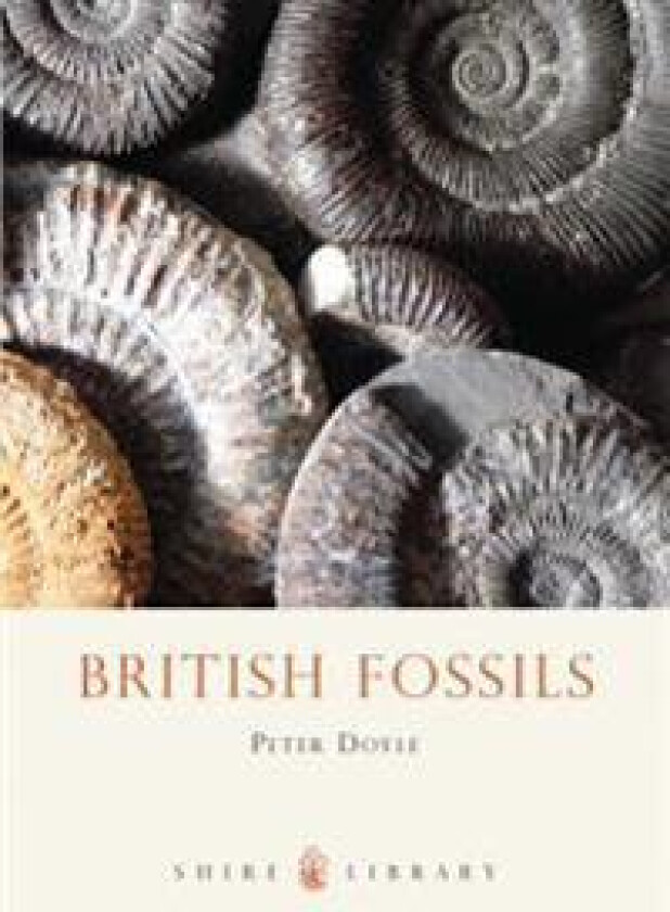 British Fossils