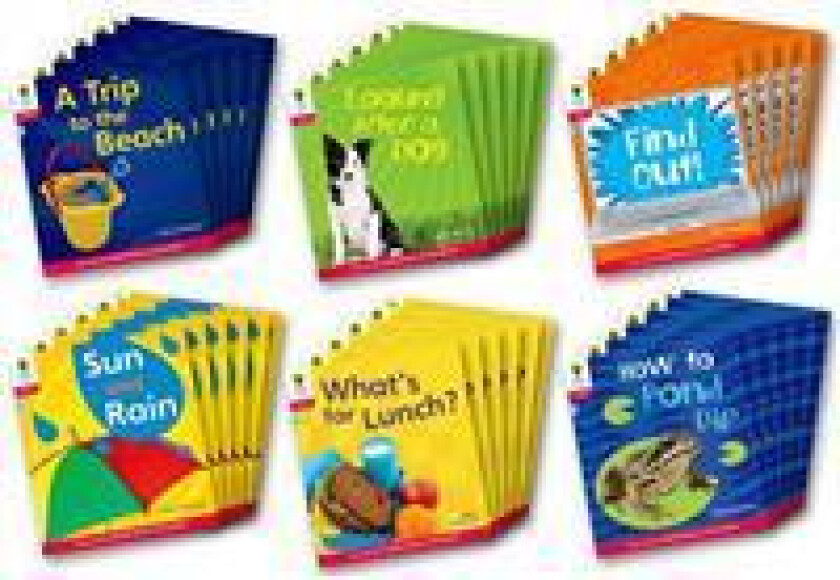 Oxford Reading Tree: Level 4: Floppy's Phonics Non-Fiction: Class Pack of 36