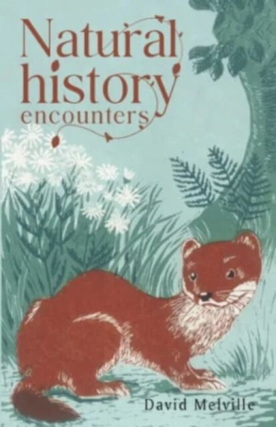 Natural History Encounters av D J Melville