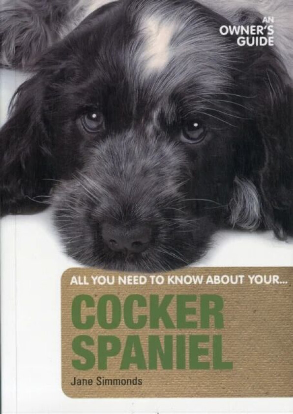 Cocker Spaniel av Jane Simmonds