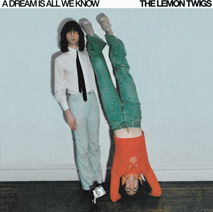 The Lemon Twigs A Dream Is All We Know LP/Vinyl