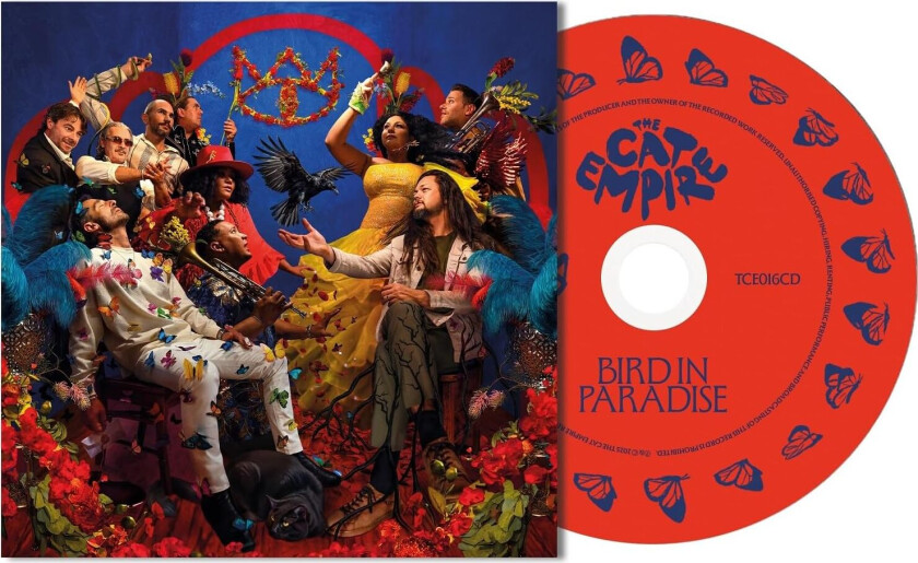 The Cat Empire Bird in Paradise CD