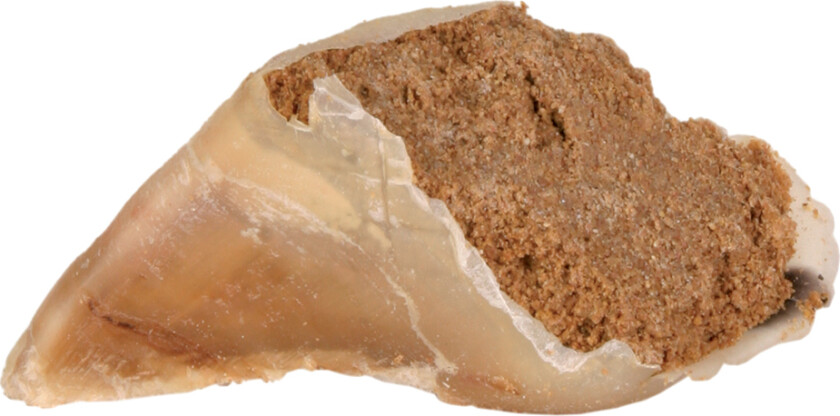 tyggeklov med kjøttpostei - 5 x 115 g