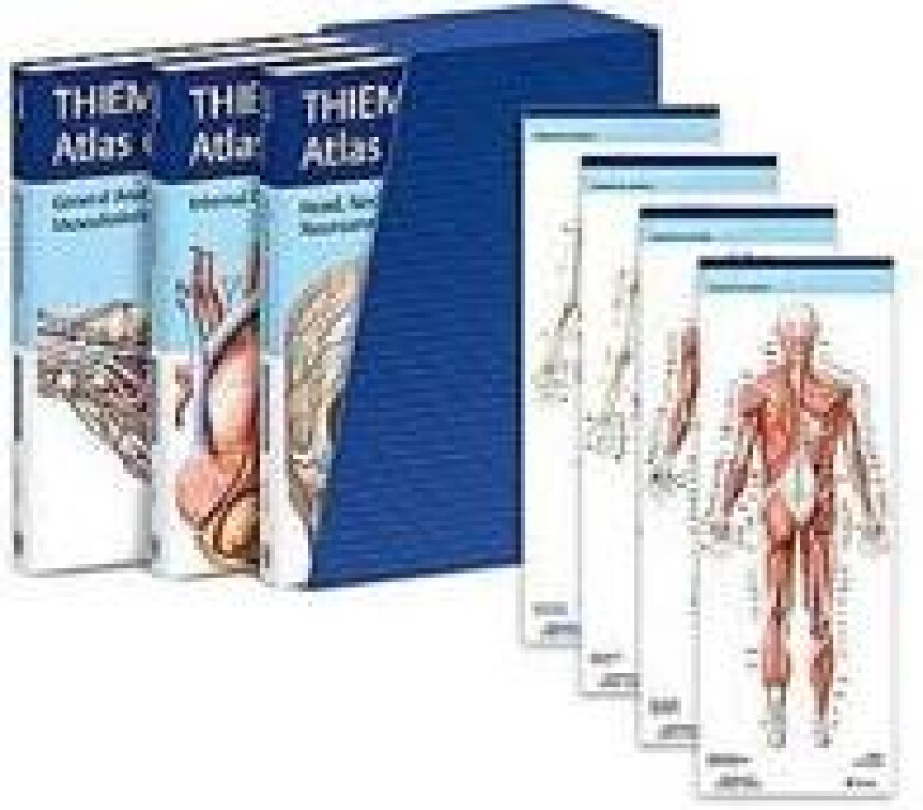 THIEME Atlas of Anatomy, Latin Nomenclature, Three Volume Set, Third Edition