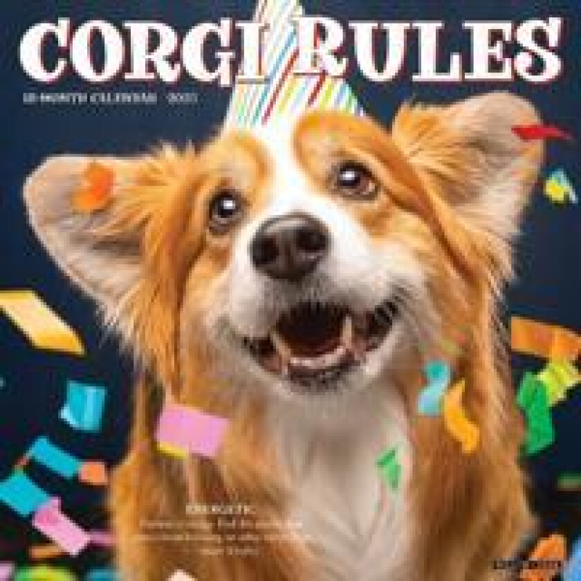 Corgi Rules 2026 12 X 12 Wall Calendar