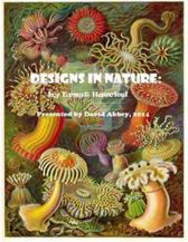 Designs in Nature: The Incredible Art of Ernst Haeckel