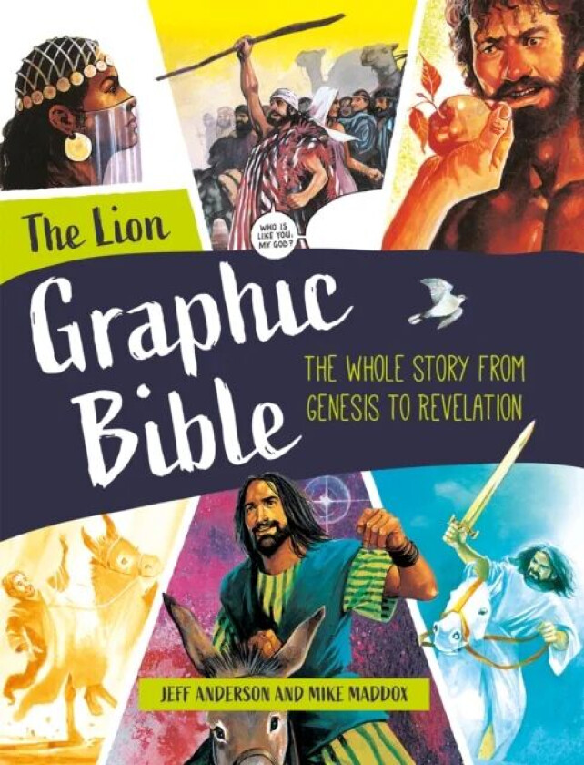 The Lion Graphic Bible av Jeff Anderson, Mike Maddox
