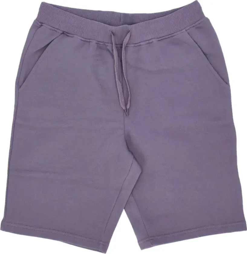 Herre, Shorts, Lilla, S