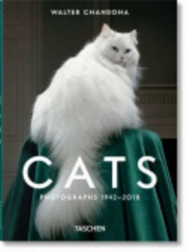 Walter Chandoha. Cats. Photographs 1942-2018 av Susan Michals