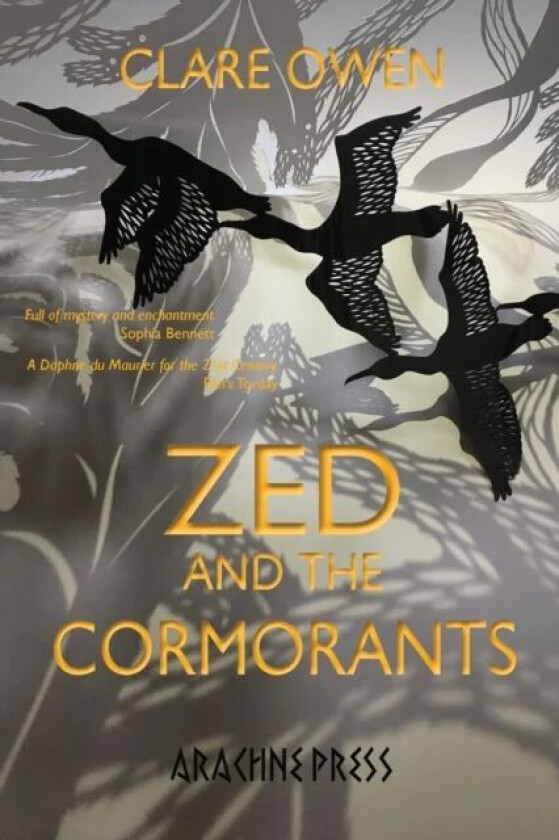 Zed and the Cormorants av Clare Owen