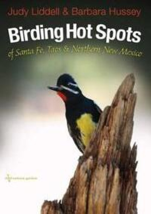 Birding Hotspots of Santa Fe, Taos, and Northern New Mexico
