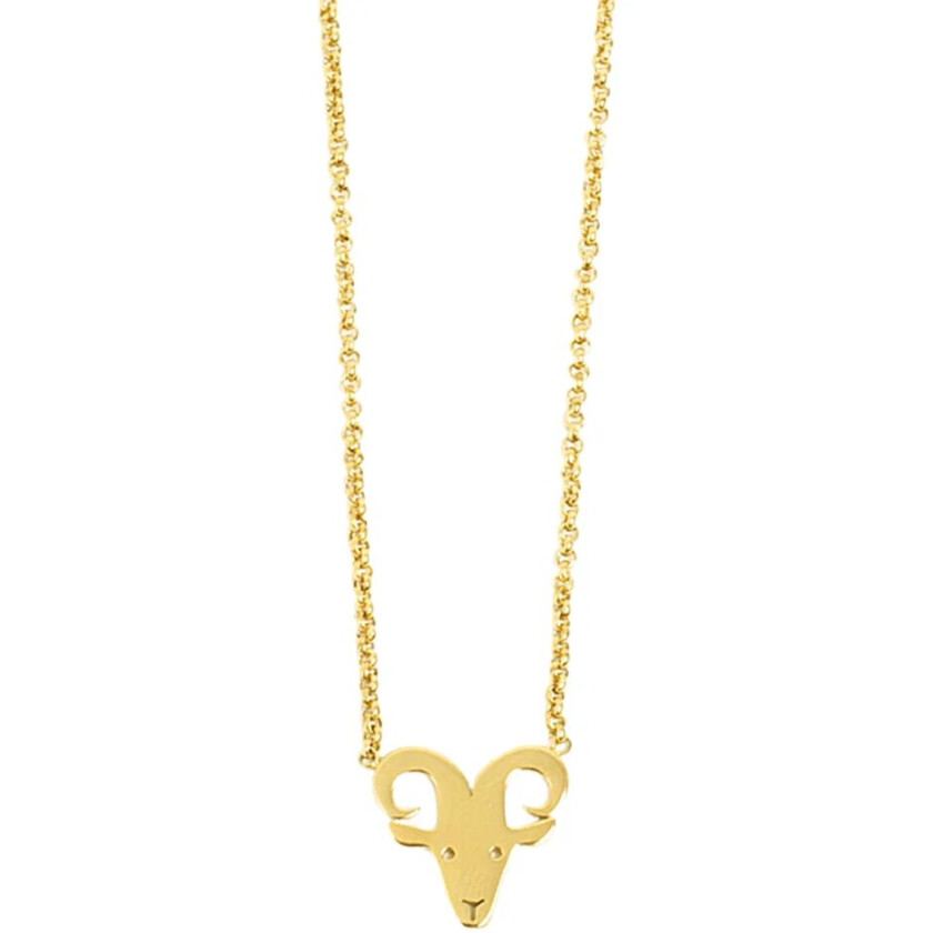 Zodiac Steel Gold Necklace, Halskjeder