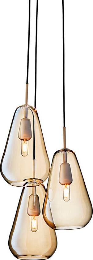 Anoli 3 Nordic Gold / Gold