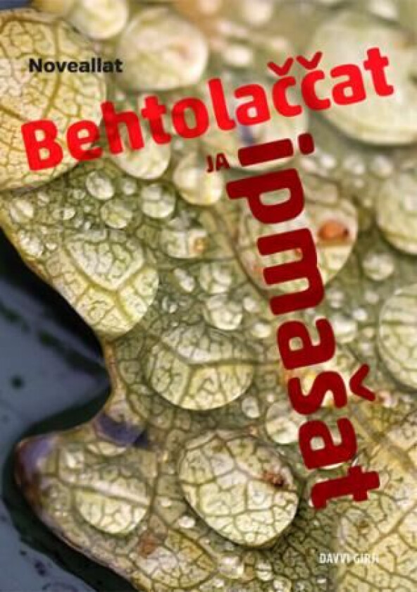 Behtolaccat ja ipmasat av Åsá Márgget Anti, Liv Tone Boine, Inga Ravna Eira, Issát Sámmol Heatta, Astrid Johnskareng, Rauna Paadar-Leivo, Kirste Paltt