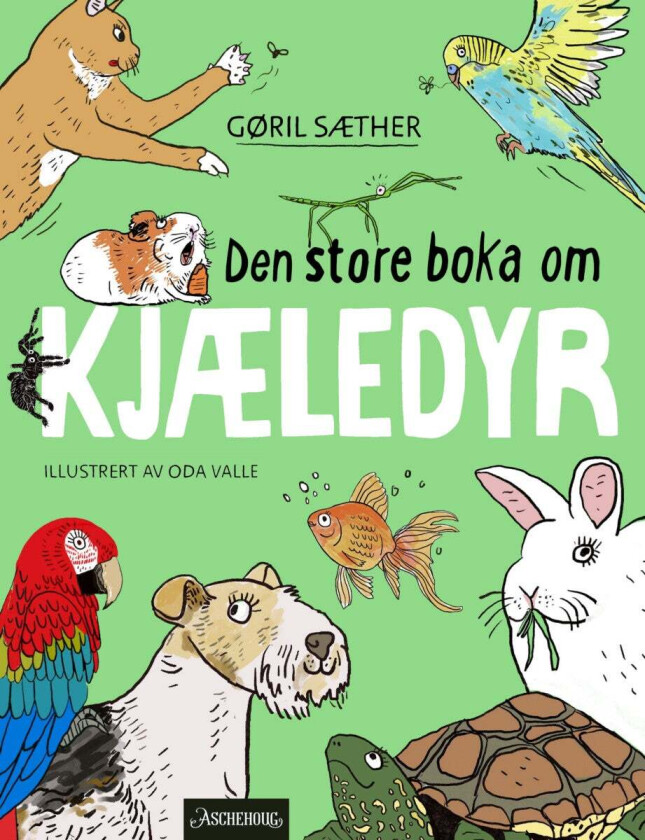 Den store boka om kjæledyr av Gøril Sæther