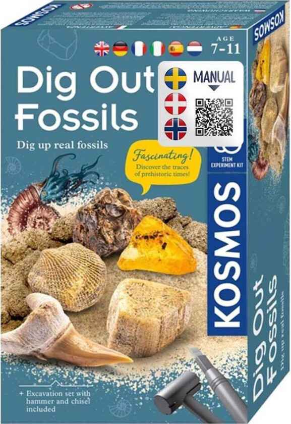 Utgravingssett Fossiler - Eksperiment