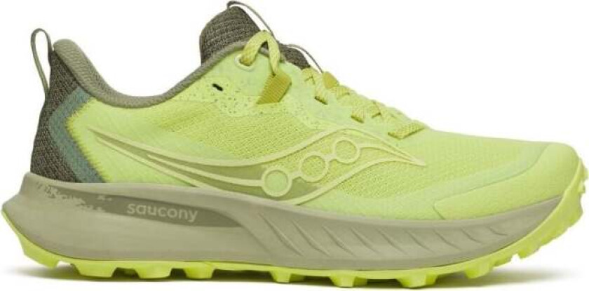 Peregrine 15 Dame Sunny/Hemlock 41