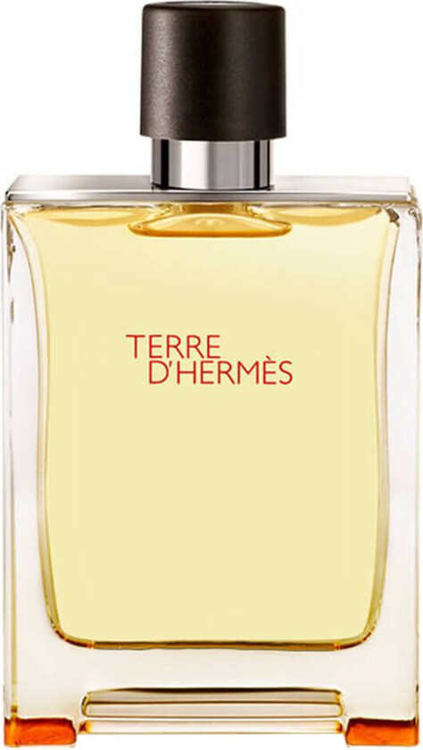 Hermes Terre d'Hermes EDT 100 ml