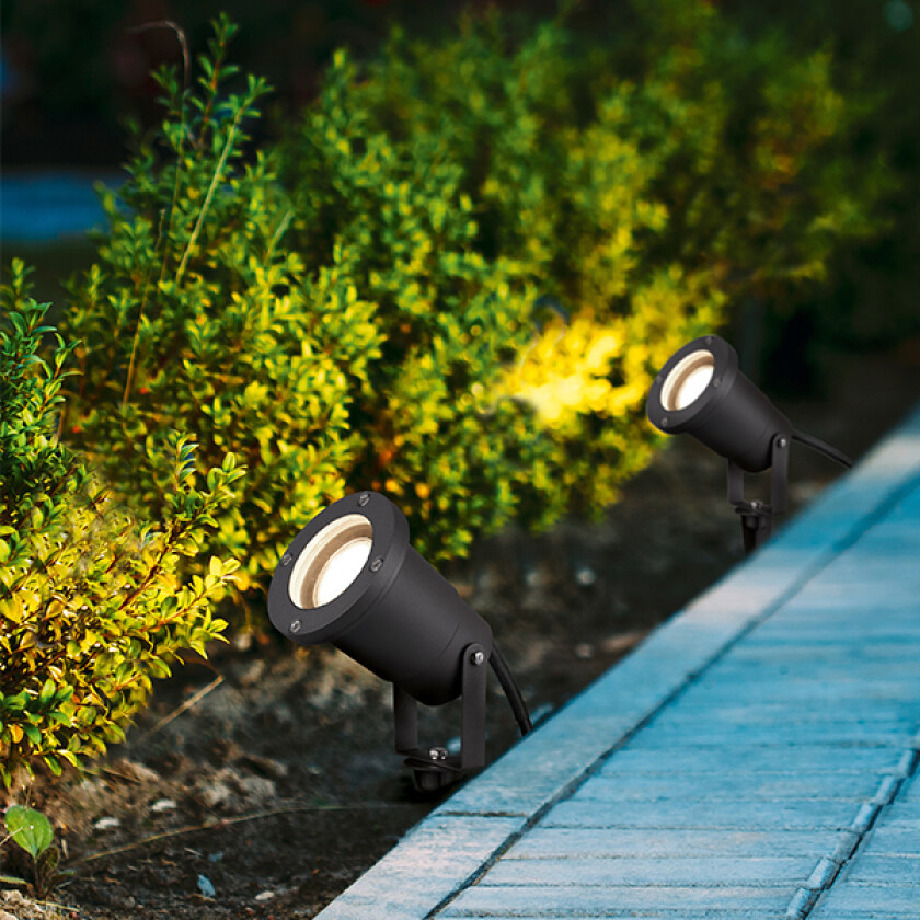 Ubangi Hagebelysning Spotlight TRIO Grå 1 Lys Hage- og terrassebelysning Lampehuset