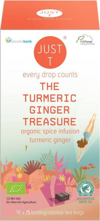 Just T Tumeric Ginger Treasure