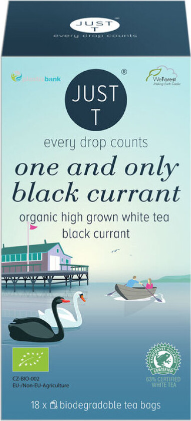 Just T One And Only Black Currant