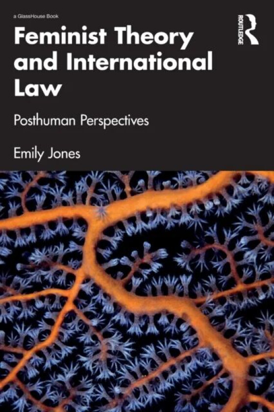 Feminist Theory and International Law av Emily Jones
