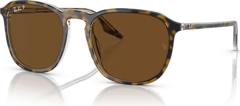 solbriller - rb2203 139357 fra - Havana - plast - Oval - large