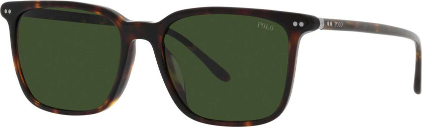 Ralph Lauren ph4194U 500371 - Dark Green