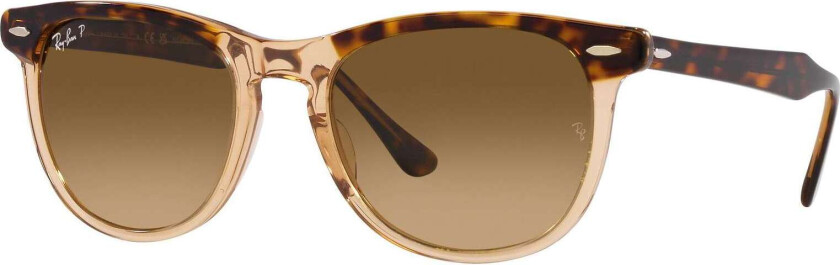 Eagleeye rb2398 1292M2 - Gradient Brown Polarized