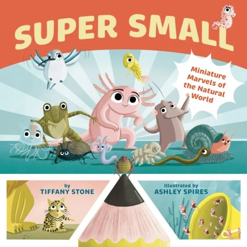 Super Small av Tiffany Stone