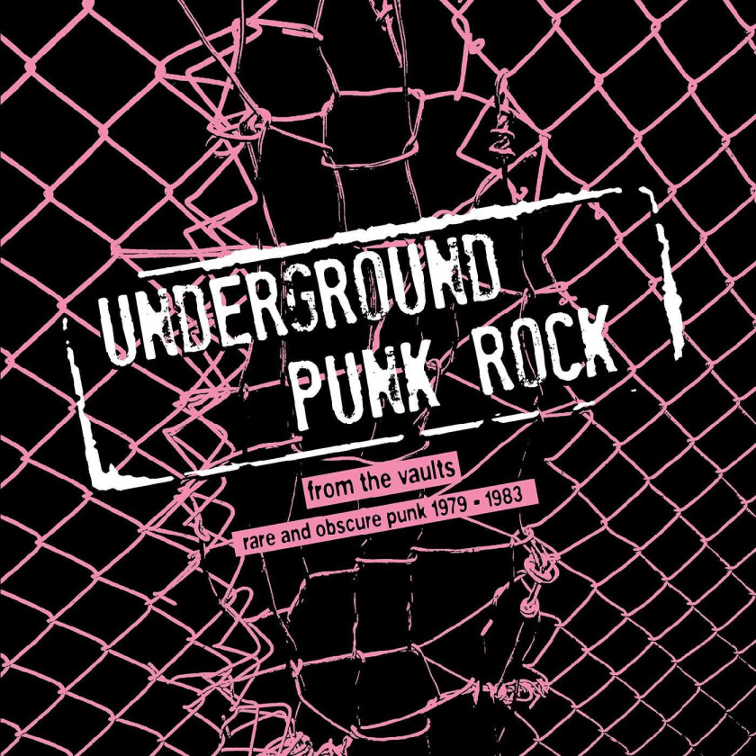 Diverse Punk Underground Punk Rock: From The Vaults Rare And Obscure Punk 19791983 LP/Vinyl