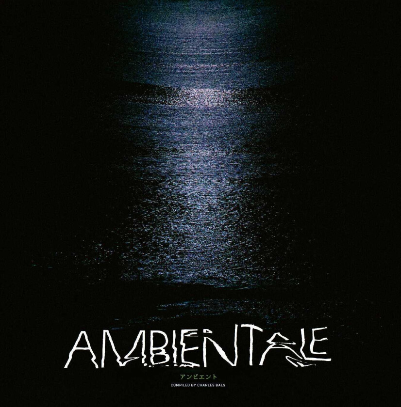 Diverse Elctronica Ambientale (Compiled by Charles Bals) LP/Vinyl