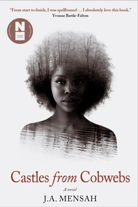 Castles from Cobwebs av J.A. Mensah