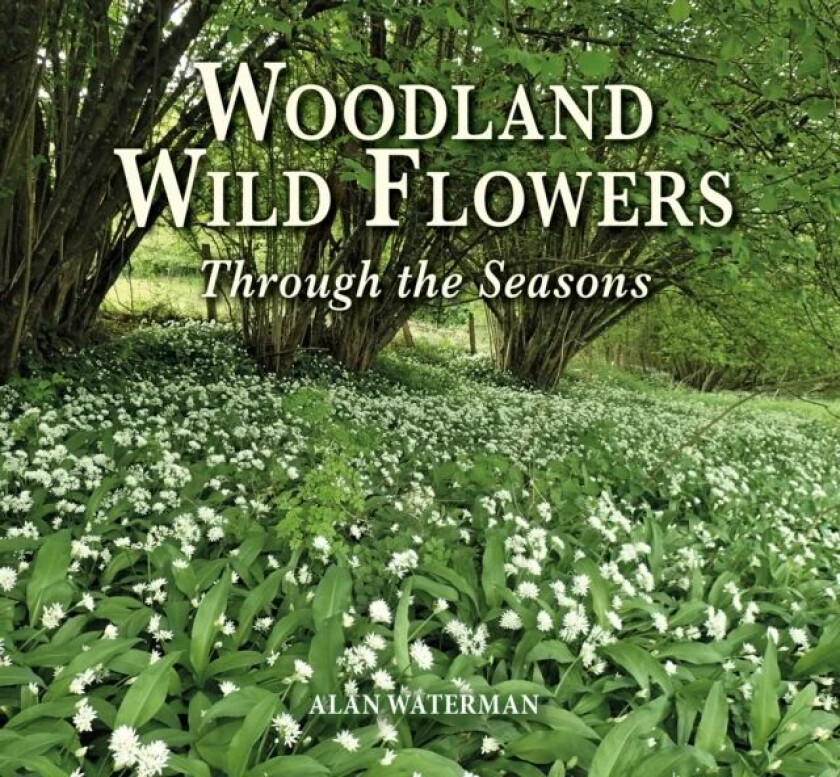 Woodland Wild Flowers av Alan Waterman