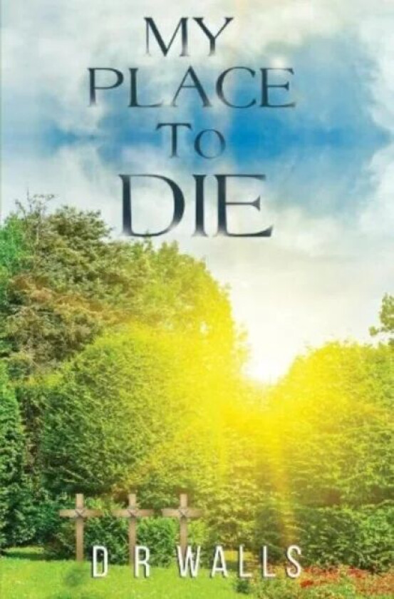 My Place To Die av D R Walls