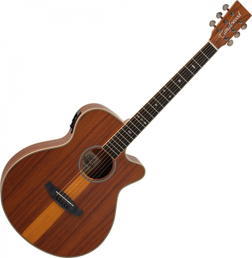 TRU4CEAS Reunion Pro Series Super Folk Electro Acoustic Santos