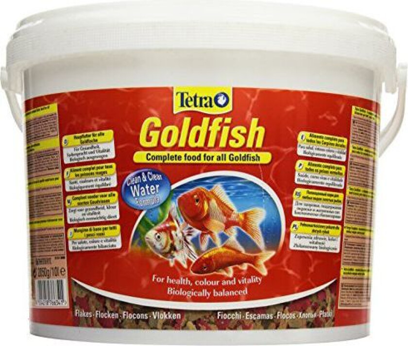 Goldfish 10 L