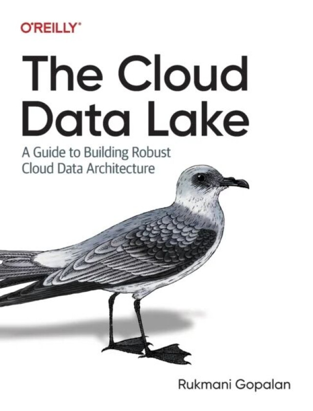 The Cloud Data Lake av Rukmani Gopalan