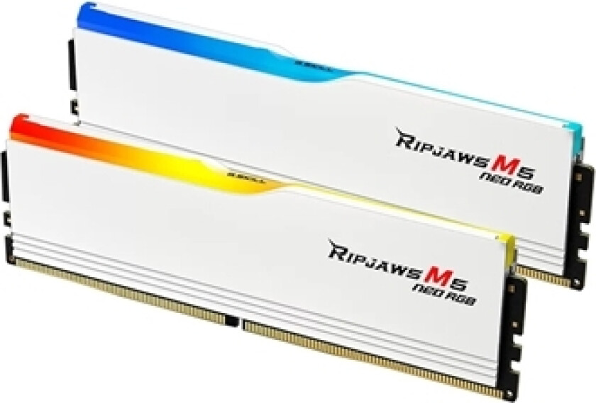 32 Gb | Ddr5 | 6000 Mhz | Pc/Server | Registered No | Ecc No