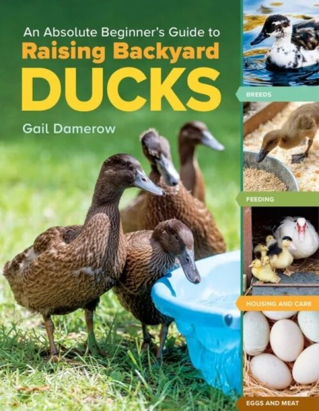An Absolute Beginner's Guide to Raising Backyard Ducks av Gail Damerow