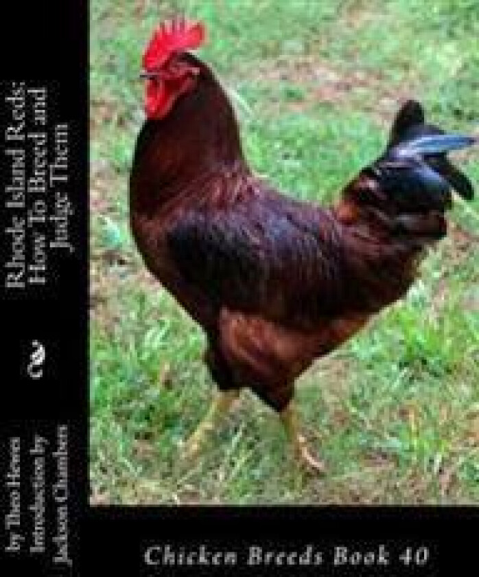 Rhode Island Reds: How To Breed and Judge Them: Chicken Breeds Book 40