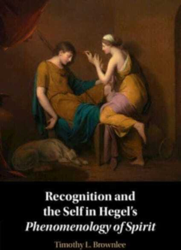 Recognition and the Self in Hegel's Phenomenology of Spirit