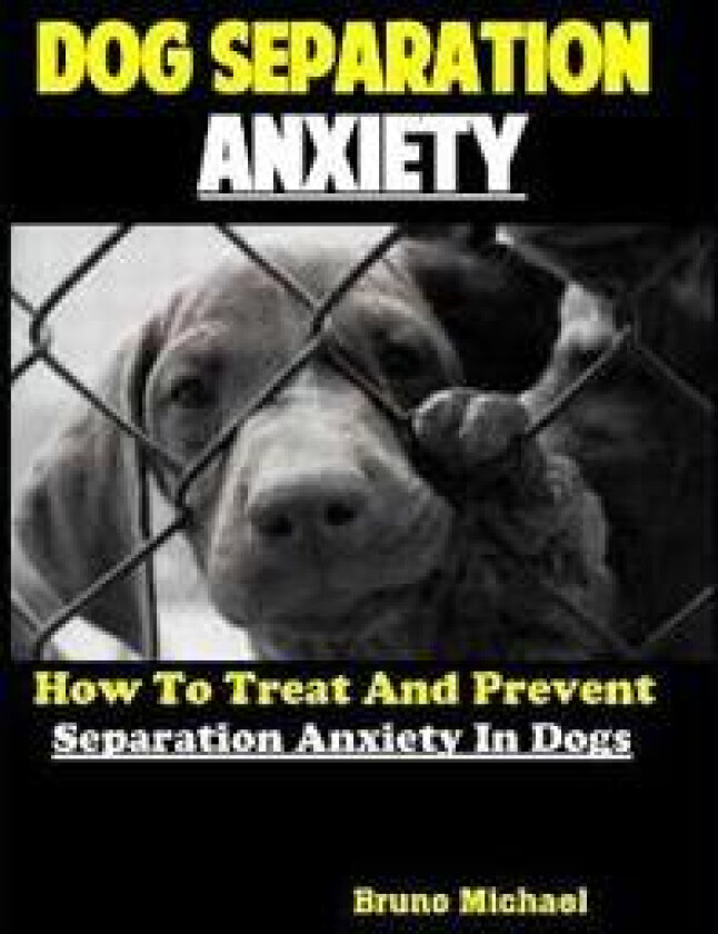 Dog Separation Anxiety